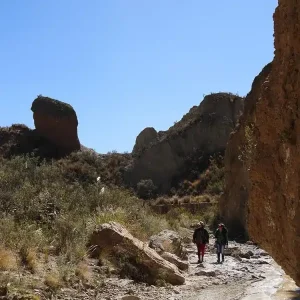 poco (4)