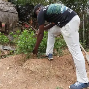 Coroico (6)