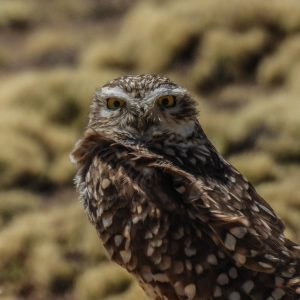 516543467_10160911203771262_4082478102829039099_n