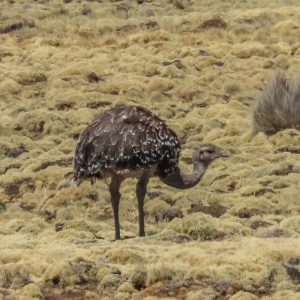 516702393_10160911204286262_6998733485105812732_n