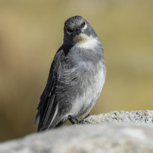 516944799_10160911203886262_6464264557490138551_n