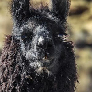 516954755_10160911203896262_7856052201165969713_n