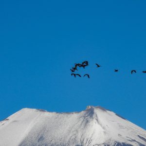 518201370_10160911203941262_6595239728396930884_n