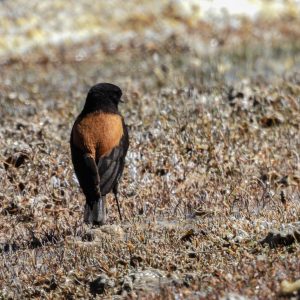 518239656_10160911203856262_1767007290598239773_n