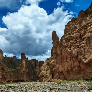 WhatsApp Image 2026-03-20 at 12.49.27