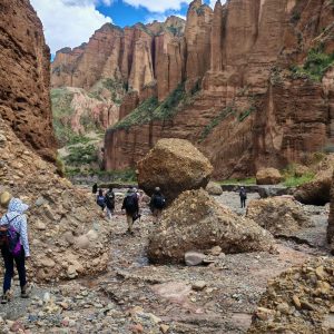 WhatsApp Image 2026-03-20 at 12.49.31 (1)