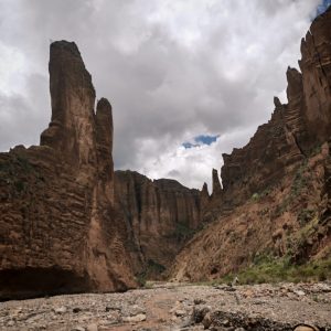 WhatsApp Image 2026-03-20 at 12.49.31 (3)